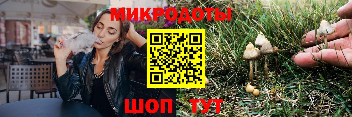 где можно купить   Псилоцибиновые грибы MAGIC MUSHROOMS  Вход с VPN  Анапа  Галлюциногенные грибы Psilocybine cubensis 